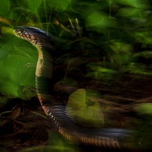 Image post by @natgeo on Instagram