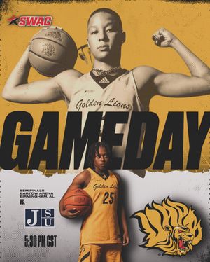 Image post by @uapblionswbb on Instagram