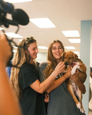 Image post by @houstondash on Instagram