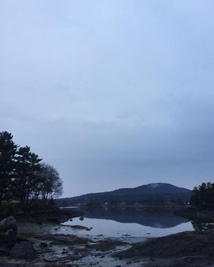 Image post by @themainemag on Instagram