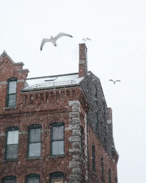 Image post by @themainemag on Instagram