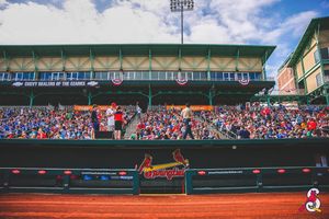 Image post by @springfield_cardinals on Instagram