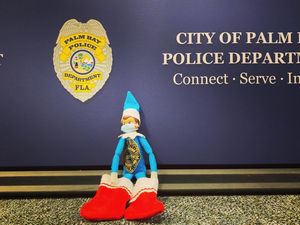 Image post by @palmbaypd on Instagram