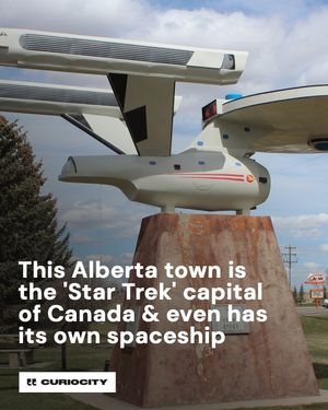 Image post by @curiocitycalgary on Instagram