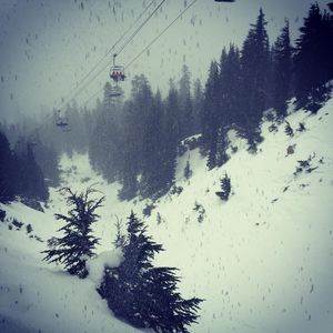 Image post by @uscskiandsnowboard on Instagram
