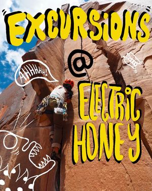 Image post by @electrichoneyexperience on Instagram