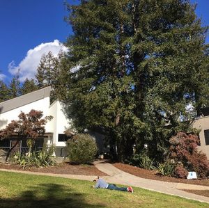 Image post by @ucsc on Instagram