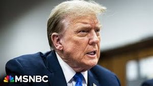 Video post by @msnbc on YouTube