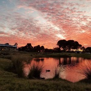 Image post by @glenelggolf on Instagram