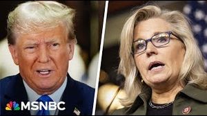 Video post by @msnbc on YouTube