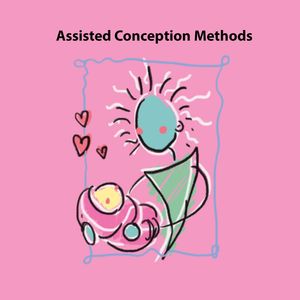 Image post by @circuitsehat on Instagram