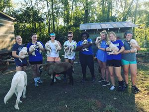 Image post by @brevardcollegewlax on Instagram