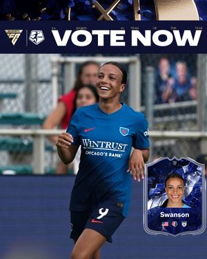 Image post by @chicagoredstars on Twitter