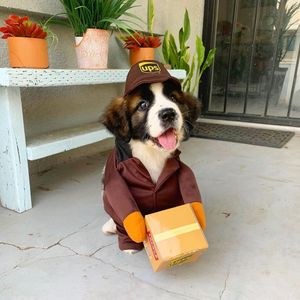 Image post by @UPS on Twitter