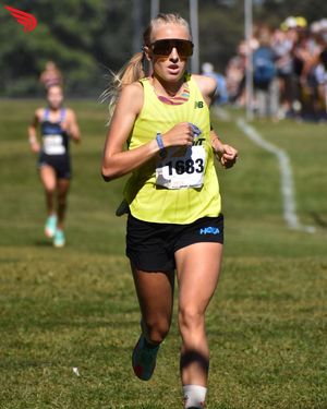 Image post by @dyestat on Instagram