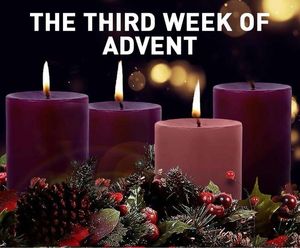 Image post by @servitehs on Instagram