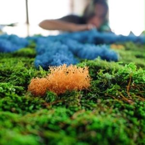 Image post by @nationwide on Instagram