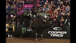 Video post by @pbr on YouTube