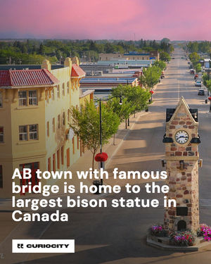 Image post by @curiocitycalgary on Instagram