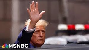 Video post by @msnbc on YouTube