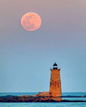 Image post by @themainemag on Instagram