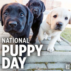 Image post by @fox31denver on Instagram