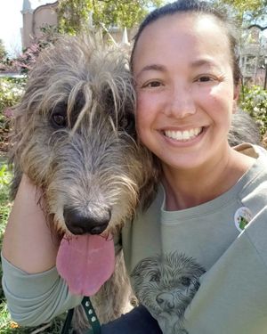 Image post by @thesavannahwolfhound on Instagram