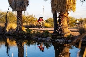 Image post by @tempegov on Instagram