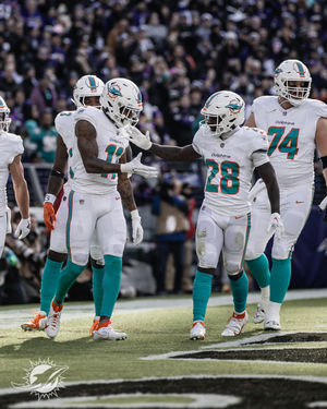 Image post by @dolphins_esp on Instagram