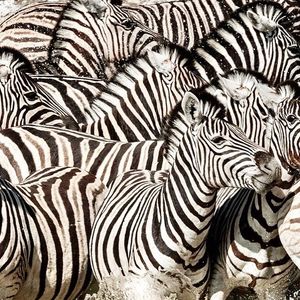 Image post by @natgeo on Instagram
