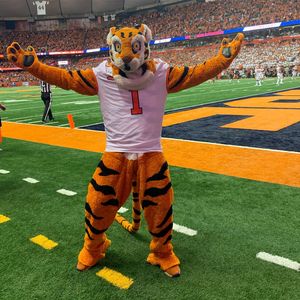 Image post by @thetiger_cu on Instagram