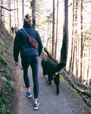 Image post by @steeple_squigs on Instagram