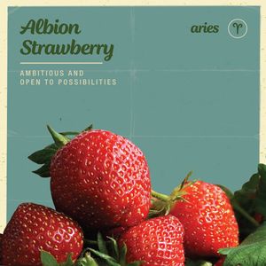 Image post by @bonnieplants on Instagram