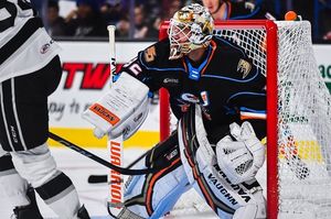 Image post by @goaliegearnerd on Instagram