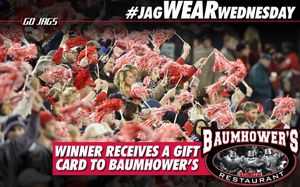 Image post by @southalabamaathletics on Instagram