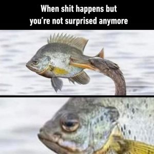 Image post by @9gag on Instagram