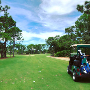 Image post by @lukedonald on Instagram