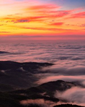 Image post by @JustinPotterPhotography on Facebook