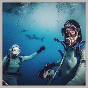 Image post by @discovery on Instagram