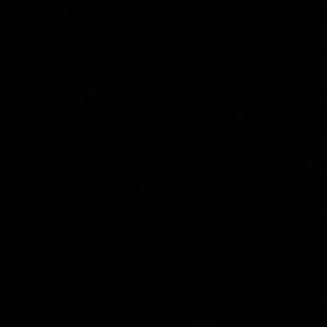 Image post by @culionssoftball on Instagram