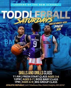 Image post by @toddlerball on Instagram