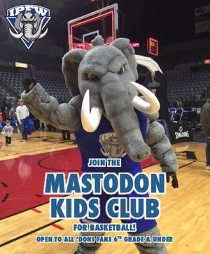 Image post by @mastodonmbb on Instagram