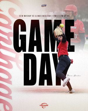 Image post by @carthagesoftball on Instagram