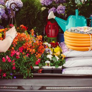 Image post by @shopbachmans on Instagram