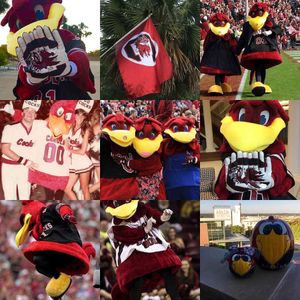 Image post by @uofscalumni on Instagram
