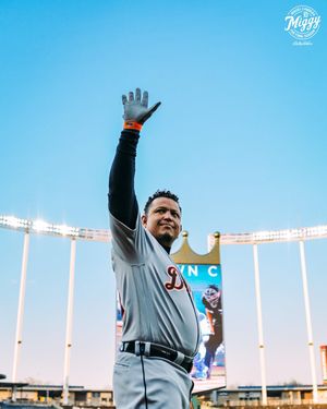 Image post by @tigers on Instagram