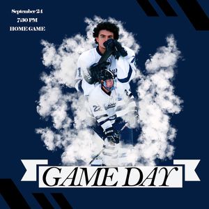 Image post by @pennstateharrisburghockey on Instagram