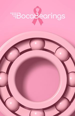 Image post by @bocabearings on Instagram