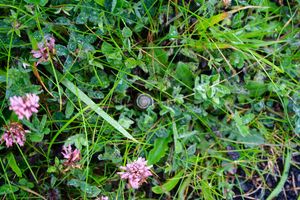 Image post by @adphotography_lab on Instagram