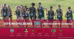 Image post by @washubears on Instagram